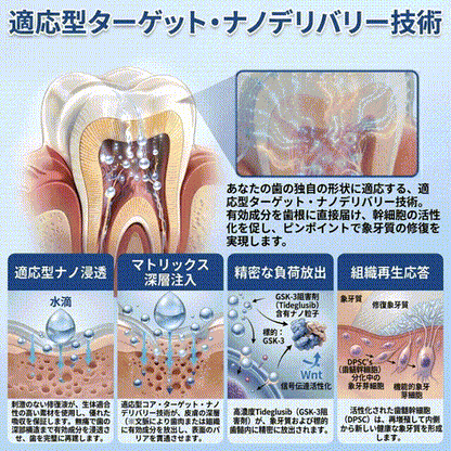 🇯🇵🦷知覚過敏・歯ぐきの不快感をしっかりケア！ 𝐂𝐨𝐚𝐮𝐨𝐨® タイドグルシブ配合オーラルストリップが登場。 歯と歯ぐきを優しく速やかに整え、貼るだけ簡単ケア。 毎日の口内ケアを無理なくグレードアップ✨